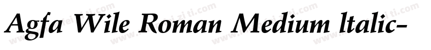 Agfa Wile Roman Medium ltalic字体转换